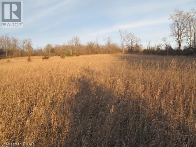 Listing 40350194 - Large Photo # 8