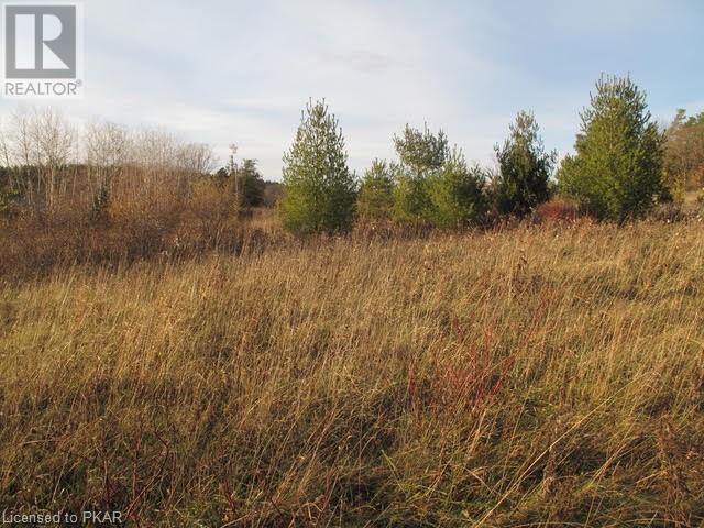 Listing 40350194 - Large Photo # 6