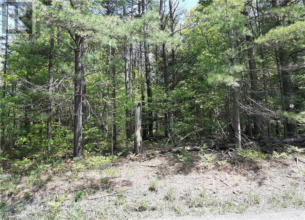 Listing 40352443 - Large Photo # 14