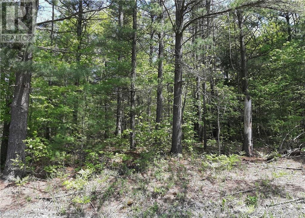 Listing 40352443 - Large Photo # 1
