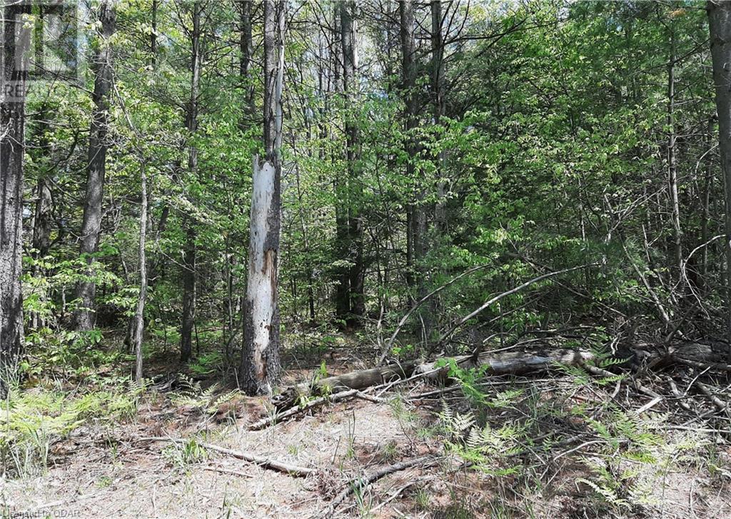 Listing 40352443 - Large Photo # 8