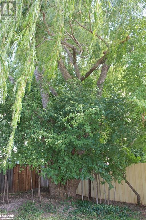 Listing 40352465 - Large Photo # 21