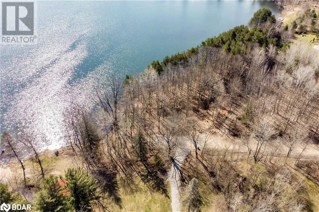 Listing 40353433 - Large Photo # 7
