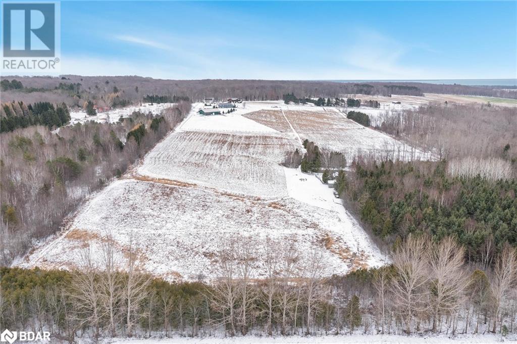 Listing 40355161 - Large Photo # 39