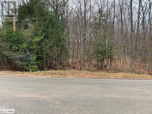 Listing 40356044 - Large Photo # 5