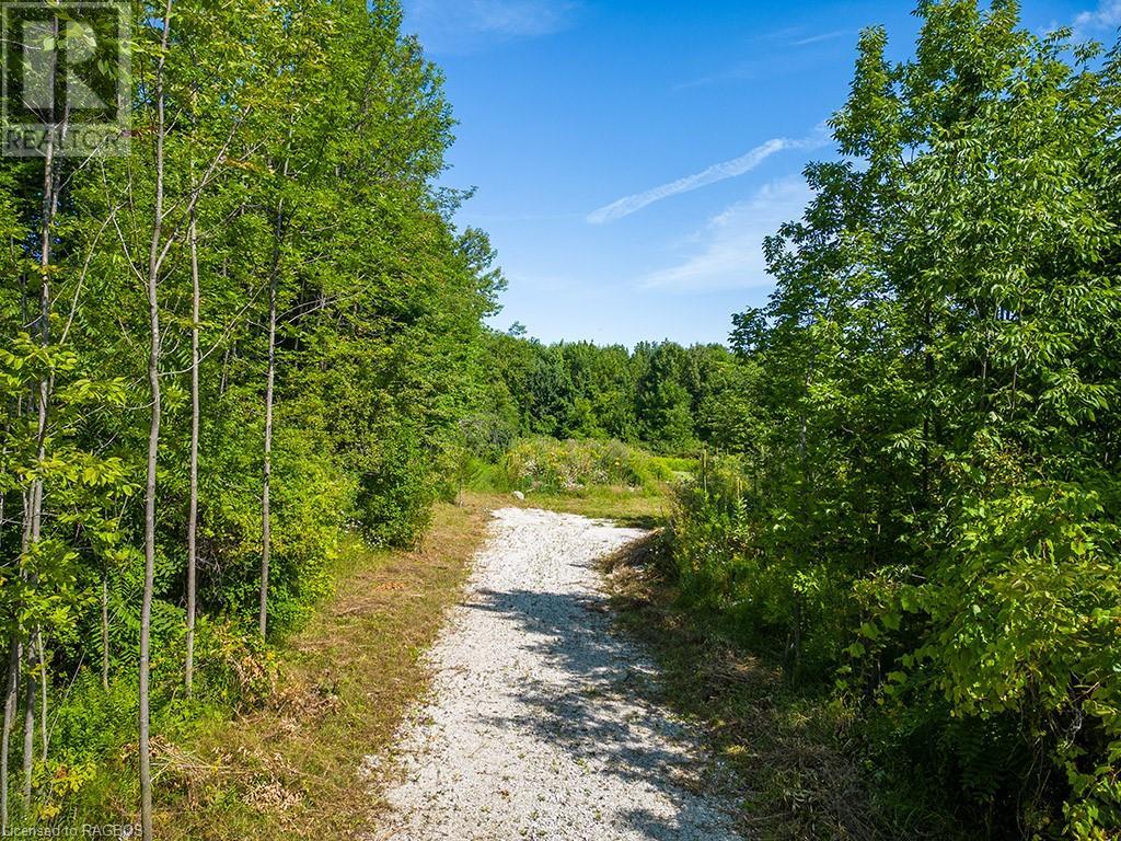 Listing 40356246 - Large Photo # 8