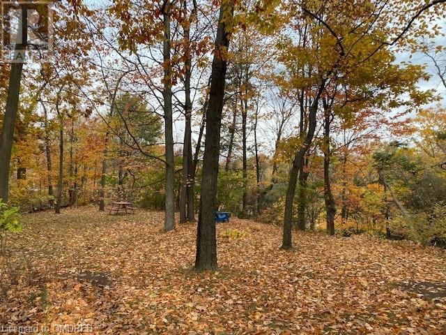 Listing 40356716 - Large Photo # 2