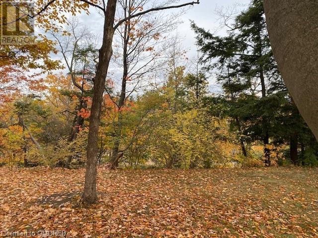 Listing 40356716 - Large Photo # 3
