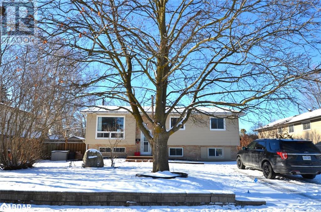 Listing 40357053 - Large Photo # 3