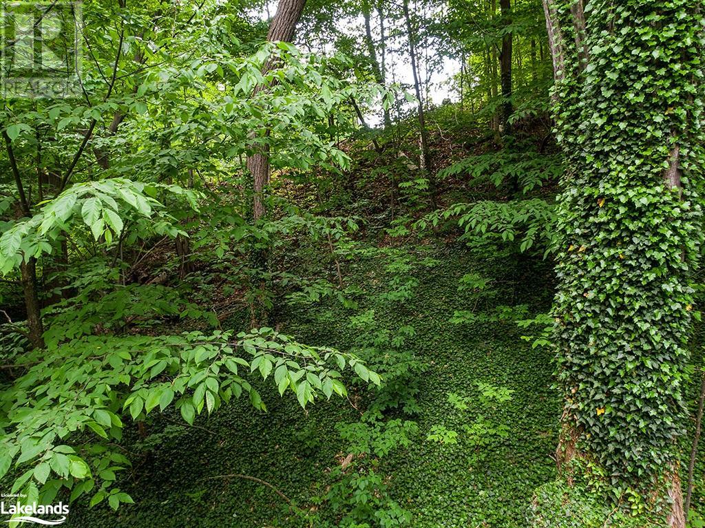 Listing 40357778 - Large Photo # 25