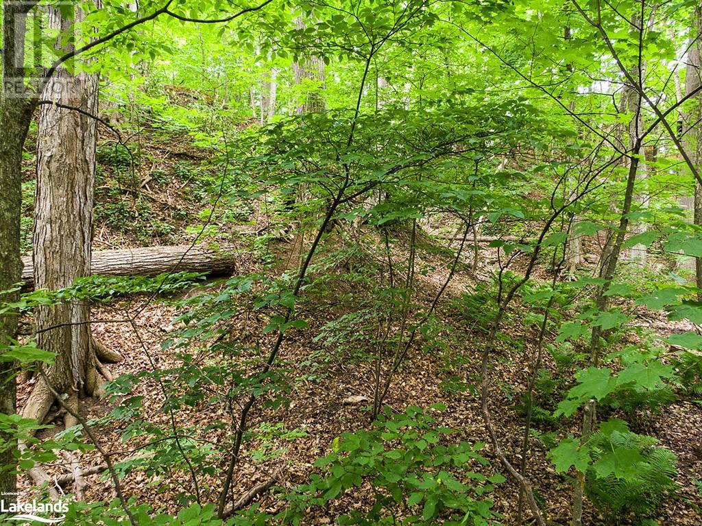 Listing 40357778 - Large Photo # 29