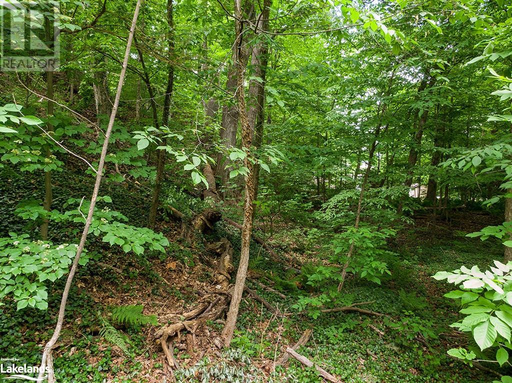 Listing 40357778 - Large Photo # 26