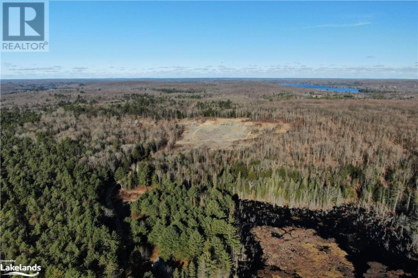1399 PLANTATION Road, Minden