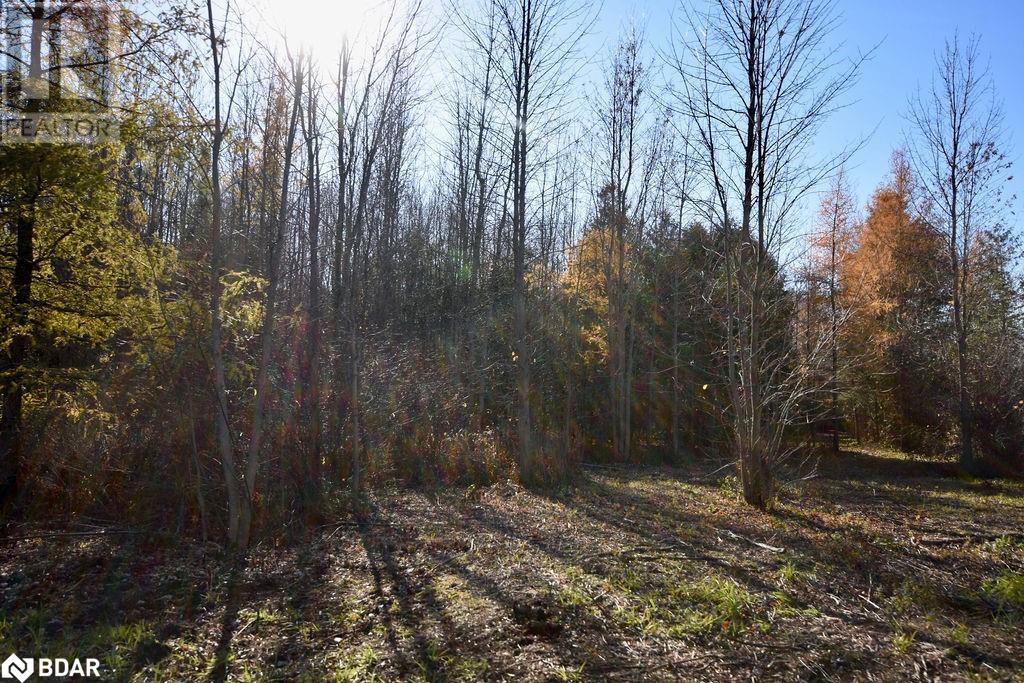 Listing 40358921 - Large Photo # 15