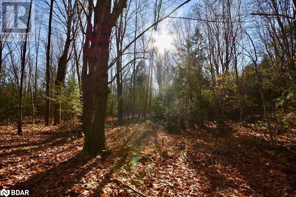 Listing 40358921 - Large Photo # 14