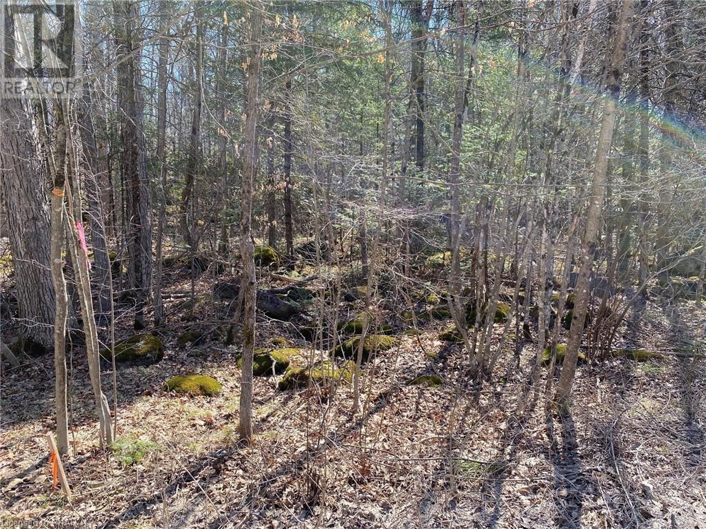Listing 40359221 - Large Photo # 1