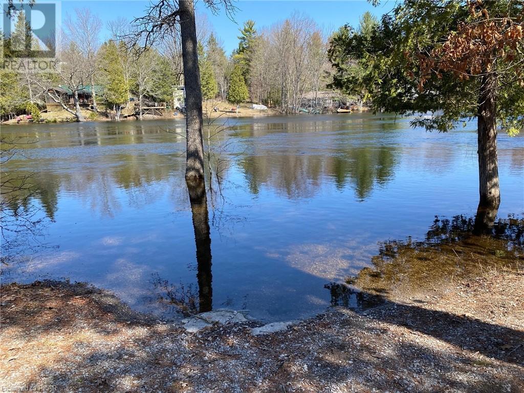 Listing 40359221 - Large Photo # 3