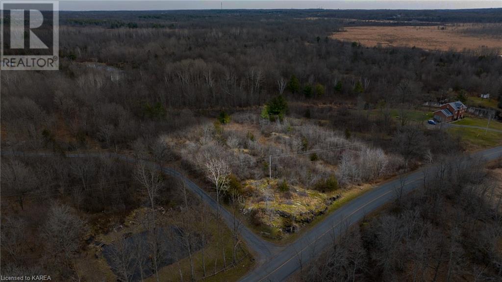 Listing 40359647 - Large Photo # 7