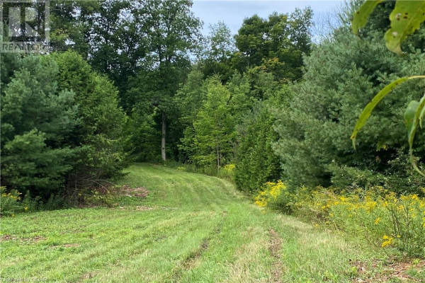 196 EDDYSTONE Road, Grafton