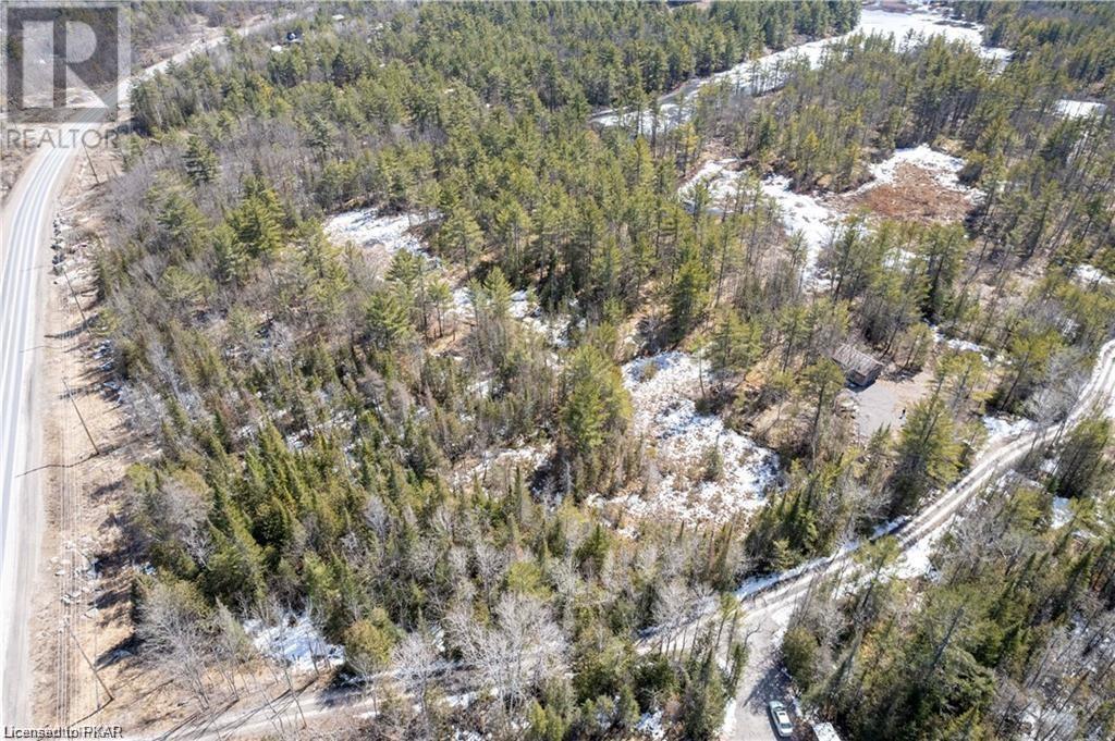 Listing 40361072 - Large Photo # 11