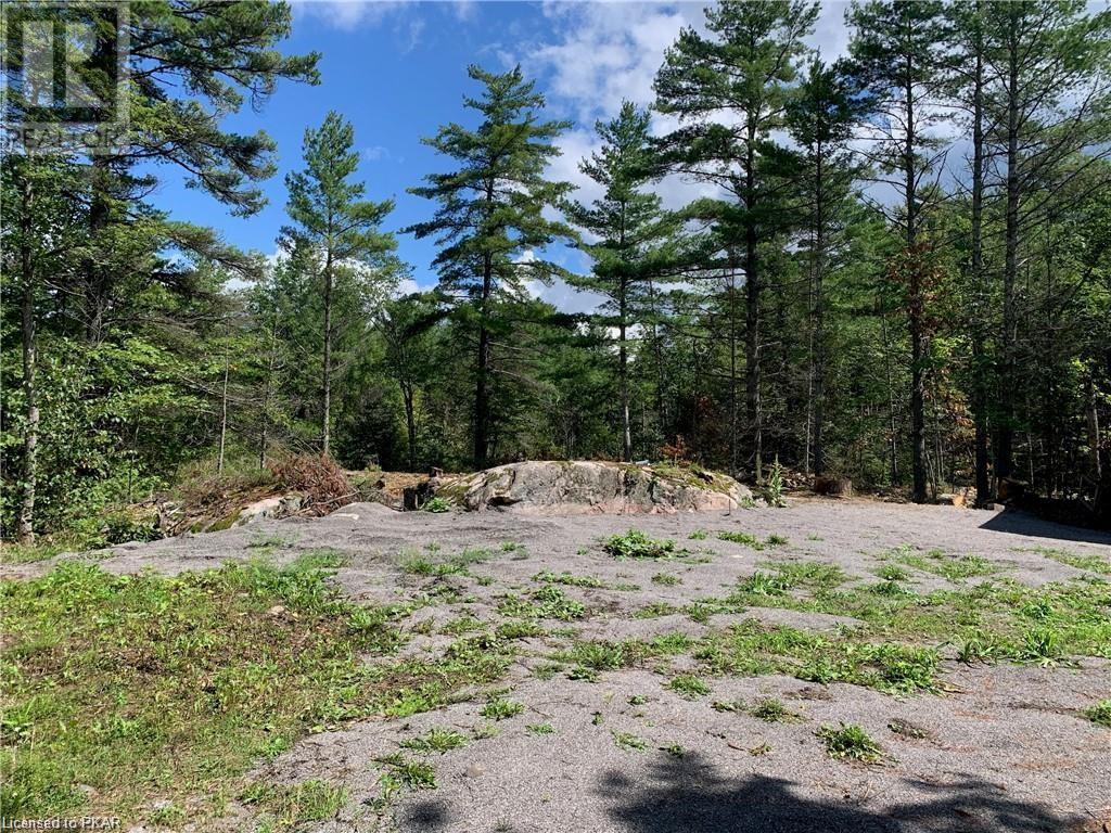 Listing 40361072 - Large Photo # 1