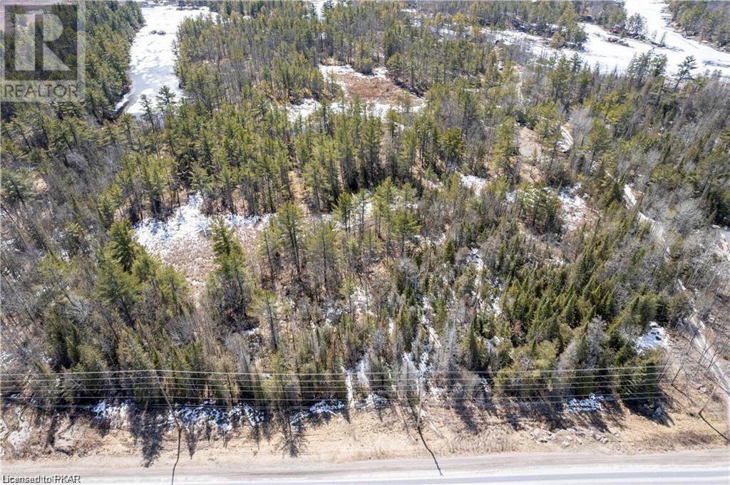 Listing 40361072 - Large Photo # 8