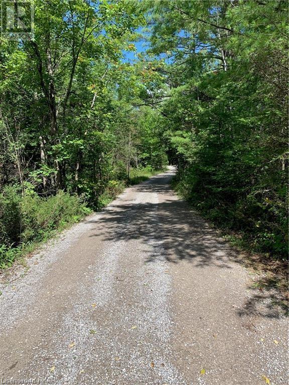 Listing 40361072 - Large Photo # 4