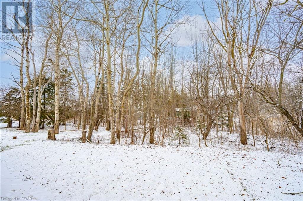 Listing 40362255 - Large Photo # 28