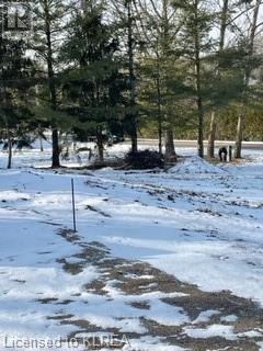 Listing 40362295 - Large Photo # 6