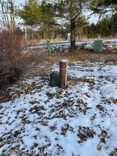 Listing 40362295 - Large Photo # 2