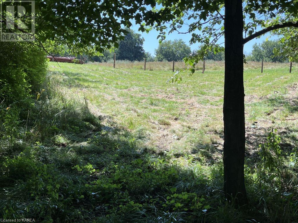 Listing 40363292 - Large Photo # 15