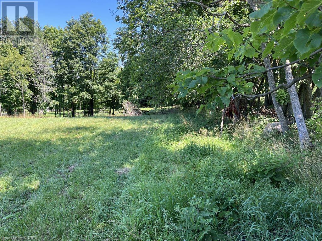 Listing 40363292 - Large Photo # 11