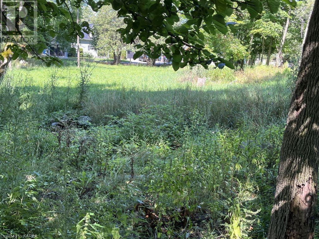 Listing 40363292 - Large Photo # 16