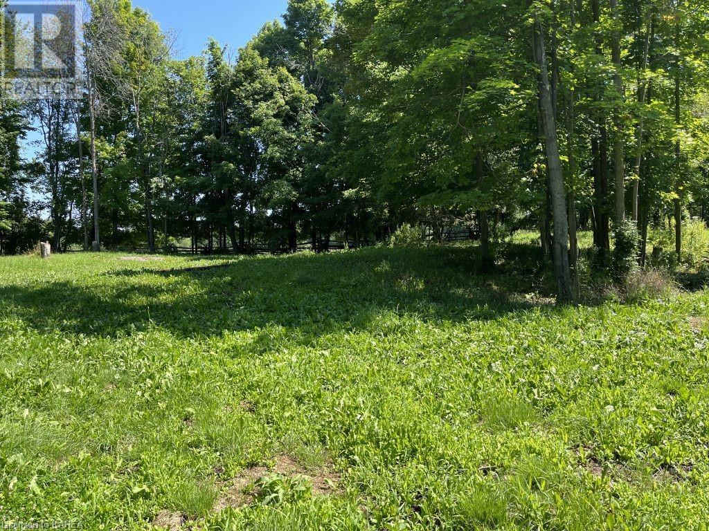 Listing 40363292 - Large Photo # 6