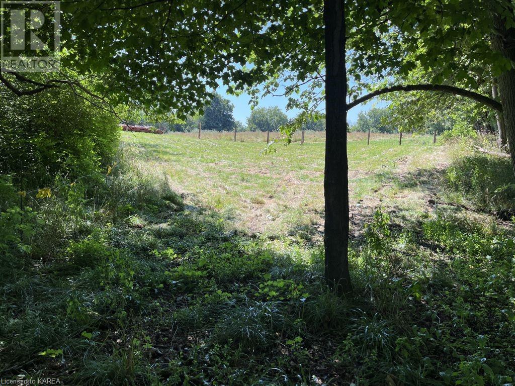 Listing 40363292 - Large Photo # 14
