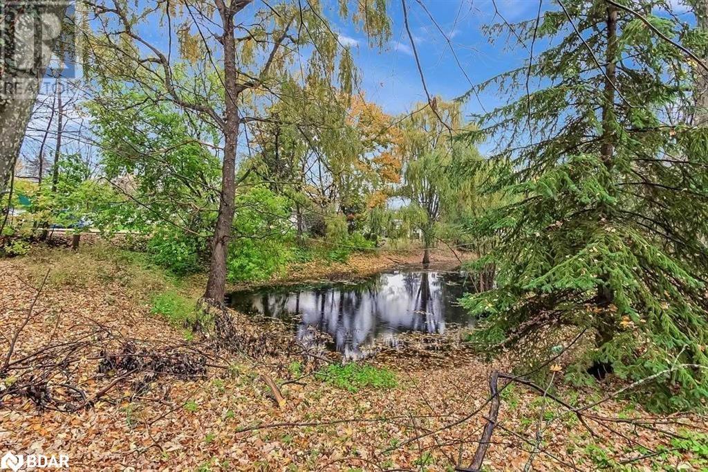 Listing 40363397 - Large Photo # 32