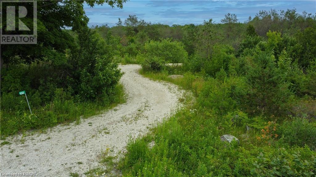 Listing 40365165 - Large Photo # 13