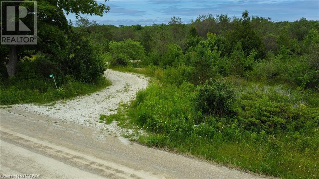 Listing 40365165 - Large Photo # 14