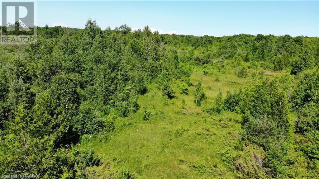 Listing 40365165 - Large Photo # 18
