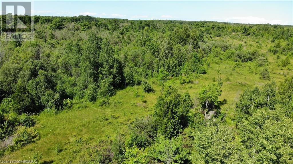 Listing 40365165 - Large Photo # 19