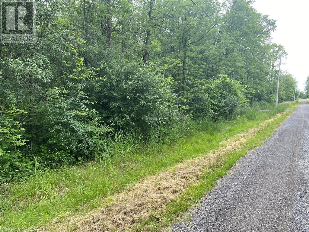 Listing 40365883 - Large Photo # 1