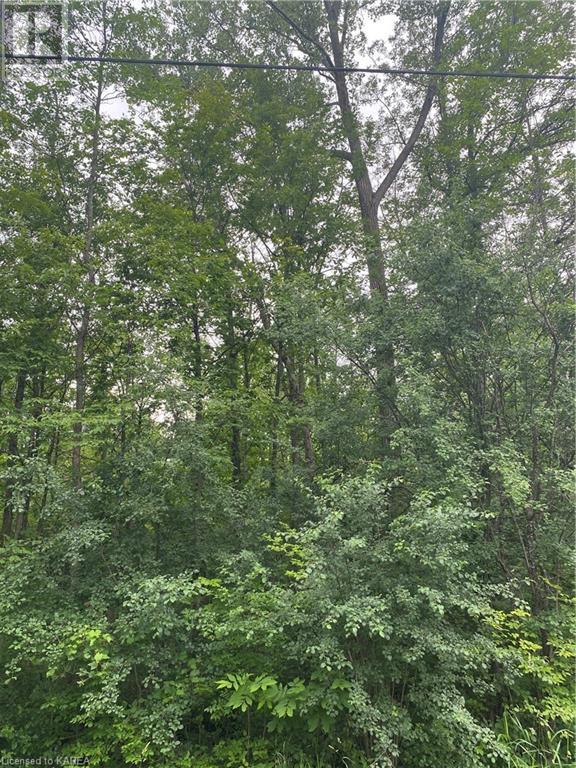 Listing 40365883 - Large Photo # 2