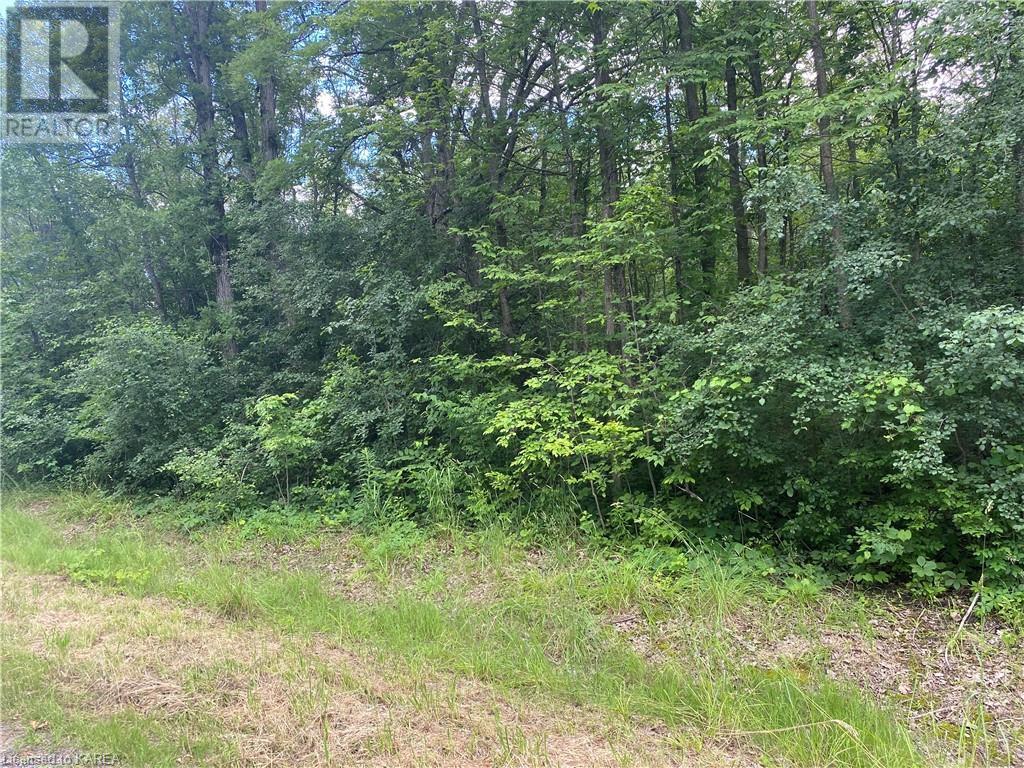 Listing 40365883 - Large Photo # 3