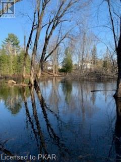 Listing 40366089 - Large Photo # 5