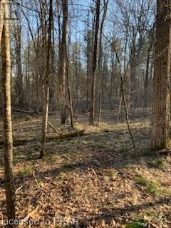 Listing 40366089 - Large Photo # 4