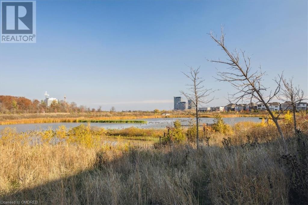 Listing 40366405 - Large Photo # 47