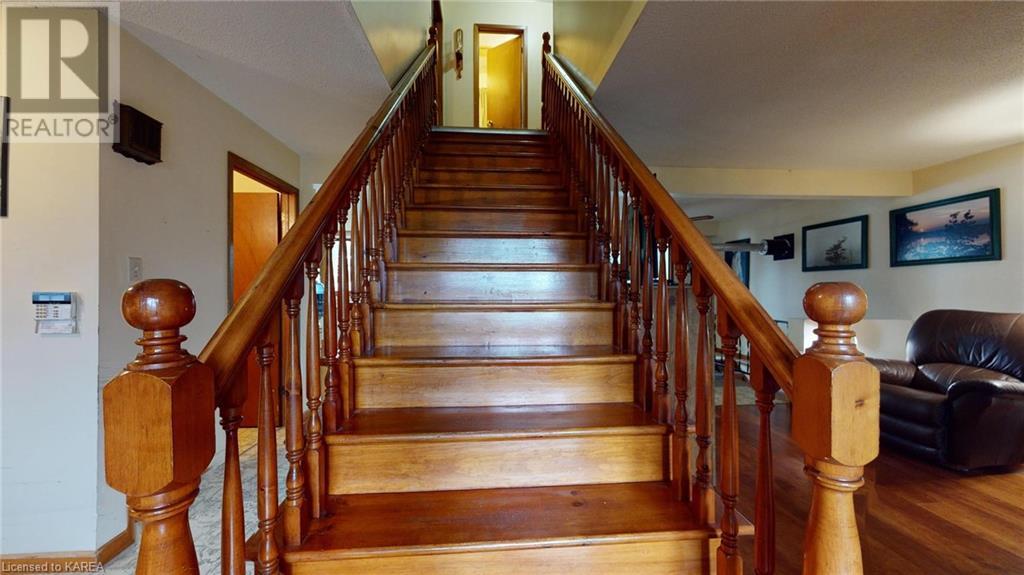Listing 40366517 - Large Photo # 22