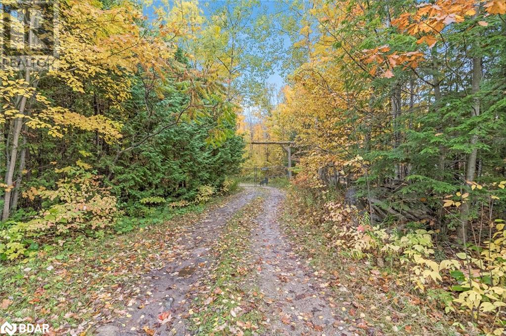 Listing 40366526 - Large Photo # 7
