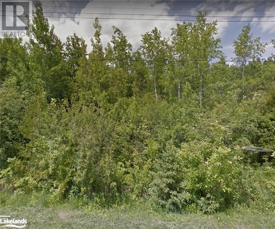 Listing 40366641 - Large Photo # 1