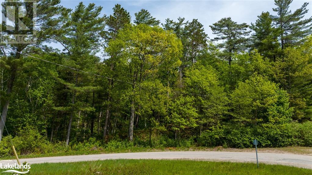 Listing 40367334 - Large Photo # 15